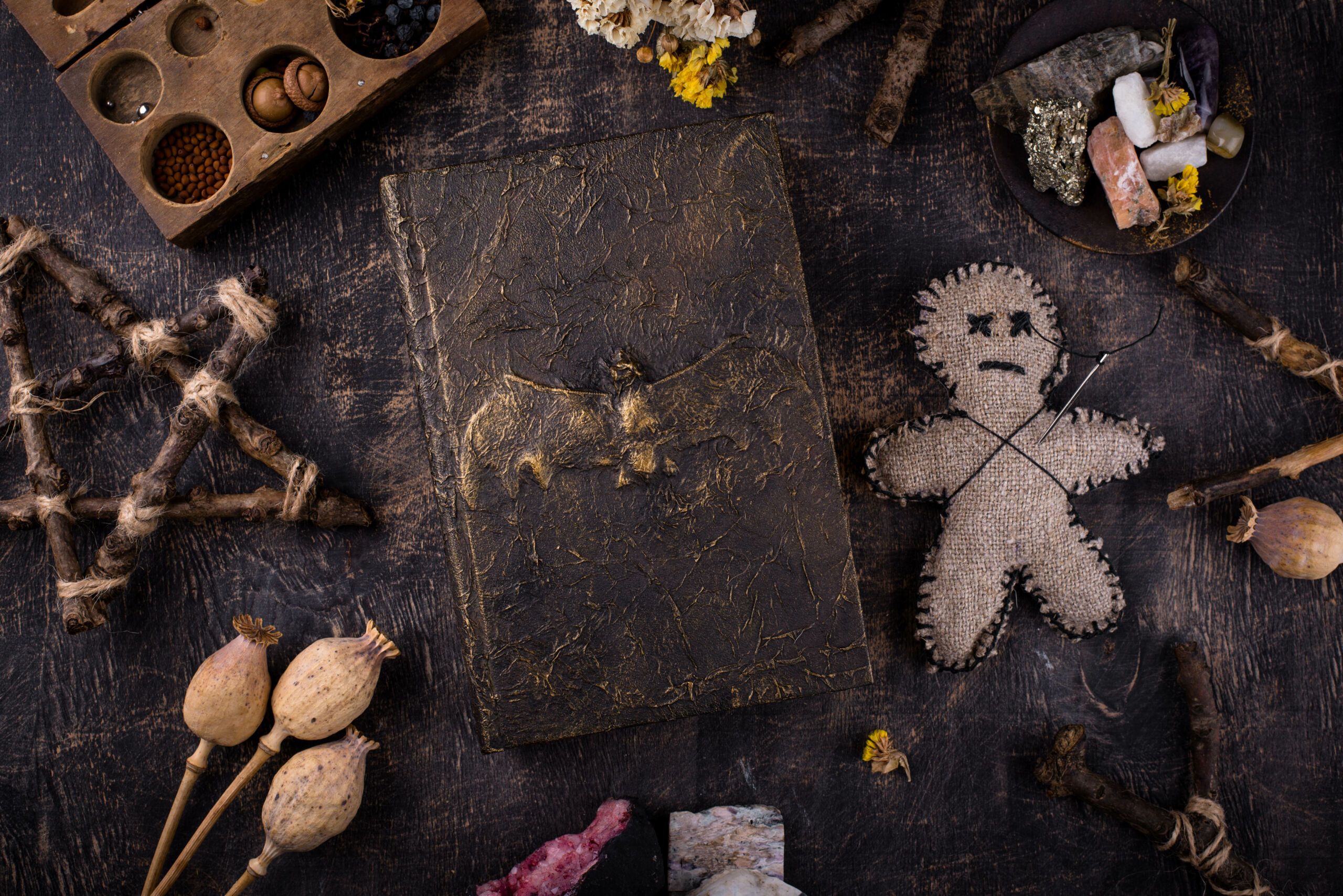 Geheimnisvolles Buch führt Leser zu Abenteuern.