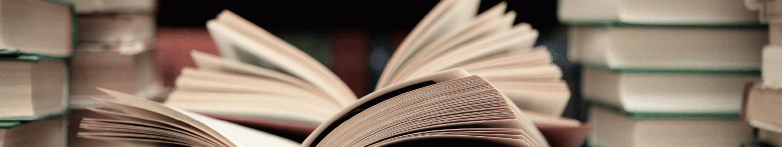 Literatur ist ein Raum, in dem sich Gedanken begegnen – und finden, was zusammengehört.